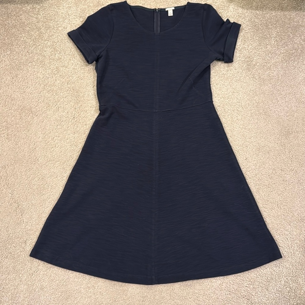 Jcrew Cotton A-line Pointe Swing Navy Dress